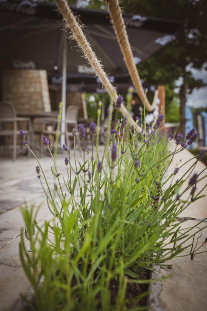 Przystań Kiekrz - Stwórz wspaniałe wspomnienia