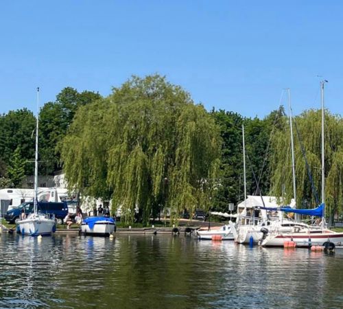 Description for Image 6